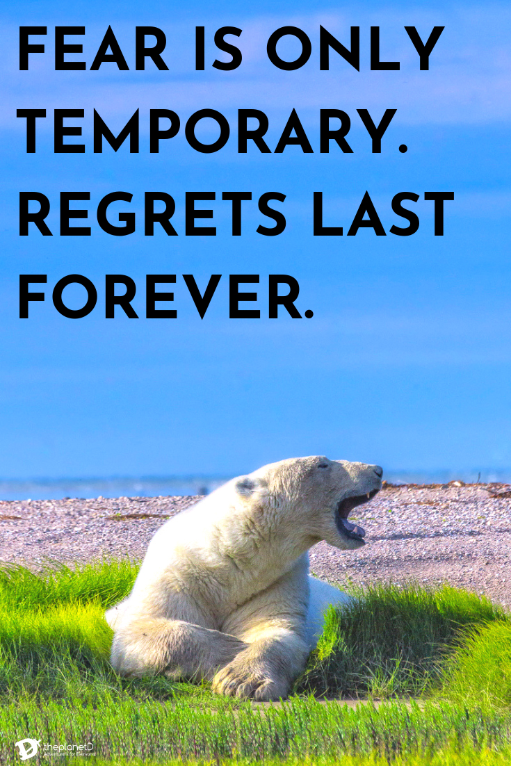 best travel quotes for motivation | fear is only temporary, regrets last forever