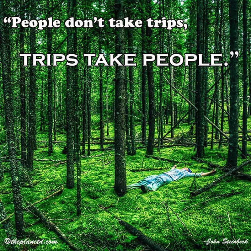 Travel the World travel Quotes