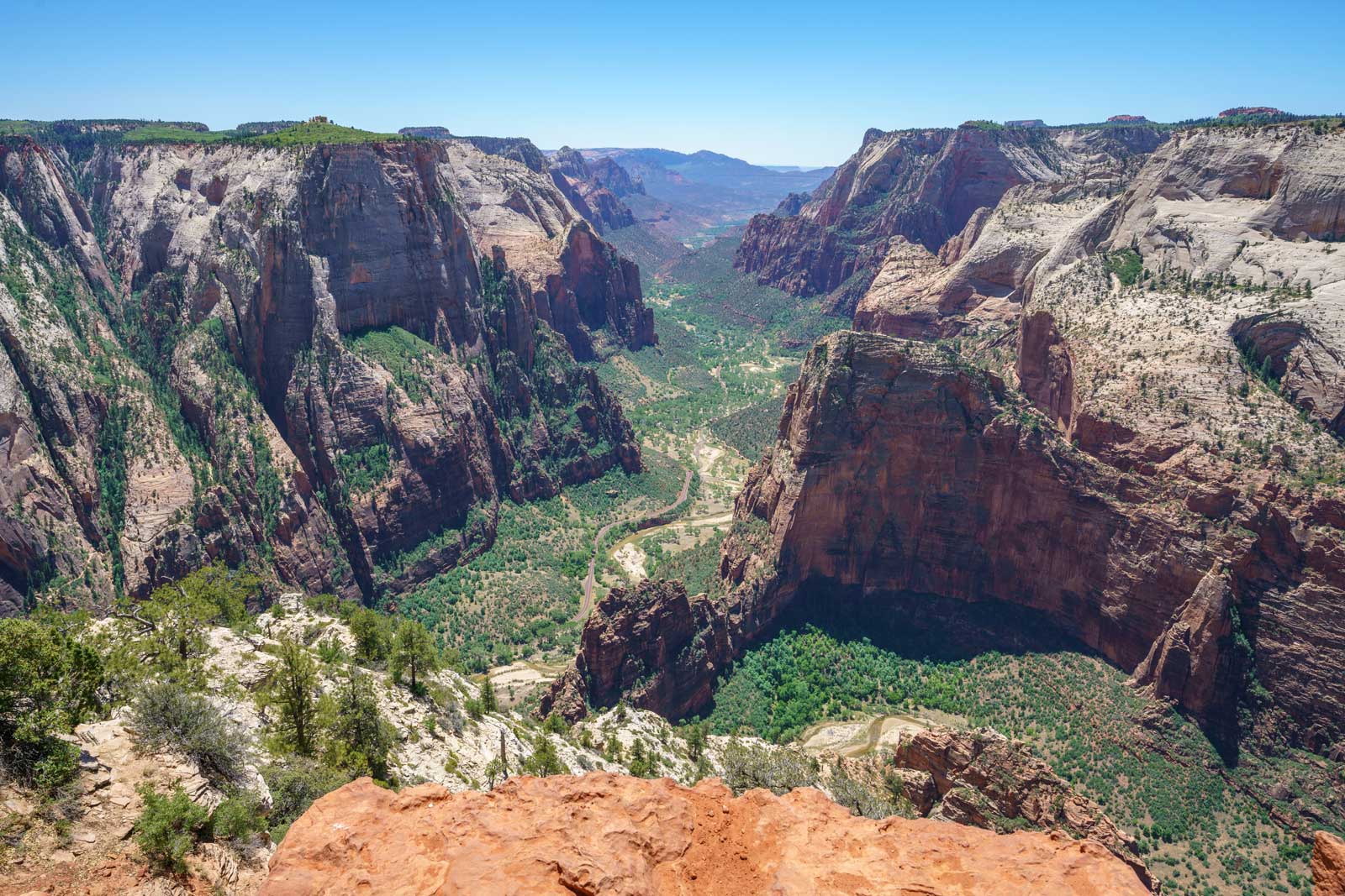Observation Point best hikes in zion national park utah
