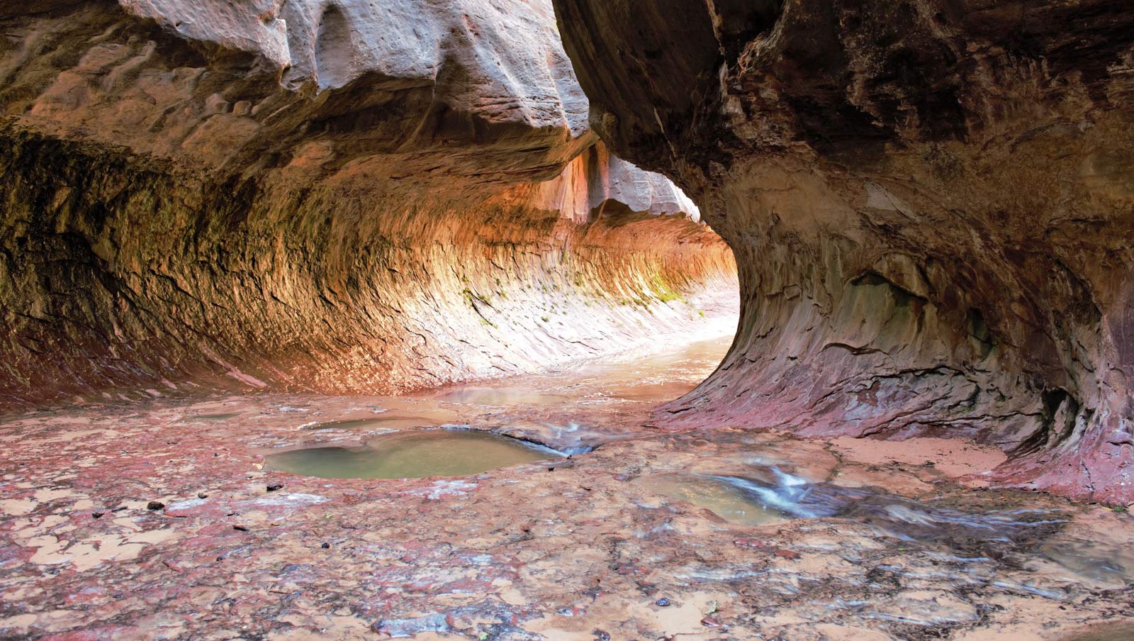 The Subway Hike best hikes in Zion 