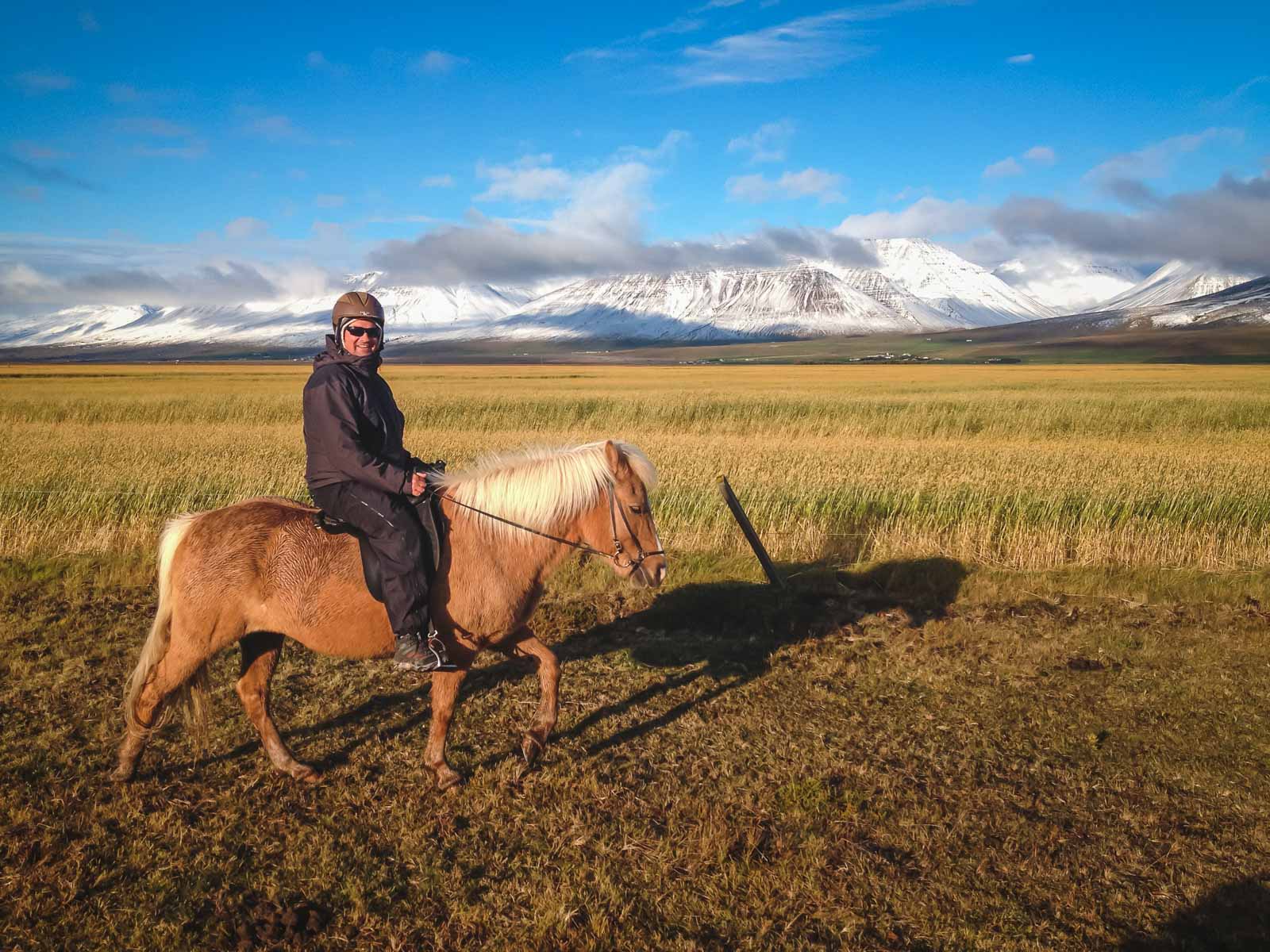 Day Trip from Reykjavik Horseback Riding