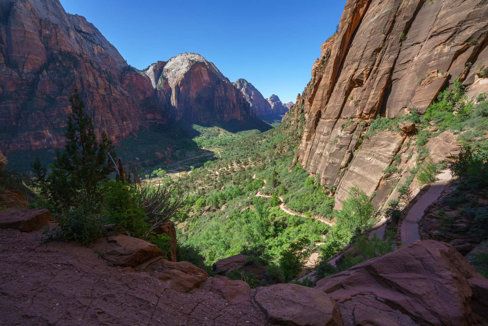 Views from the West Rim Trail hikes in zion 