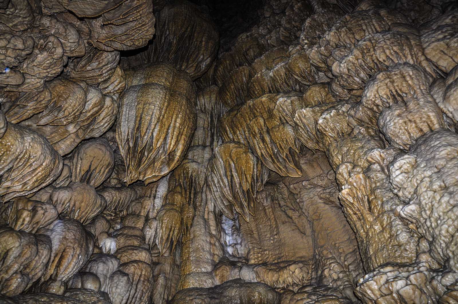 placse to visit in oregon - oregon caves national monument